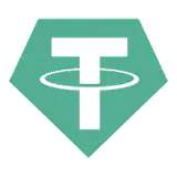 USDT deposit at Dudespin Casino